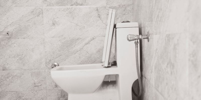 Dicas para desentupir- vaso com caixa acoplada